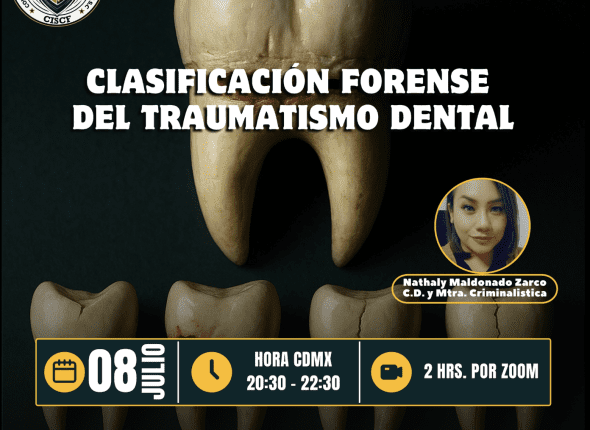 Captura de pantalla 2025-07-09 a las 12.43.18 a. m.